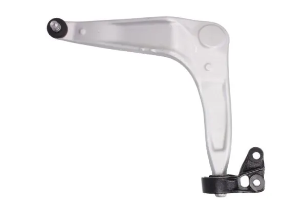 RH045014 Reinhoch