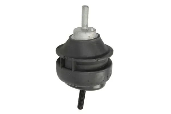 RH114021 Reinhoch