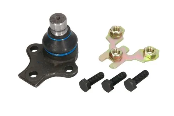 RH030007 Reinhoch