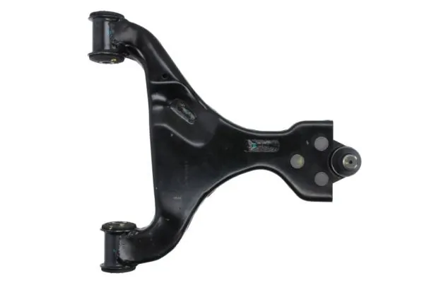 RH043075 Reinhoch