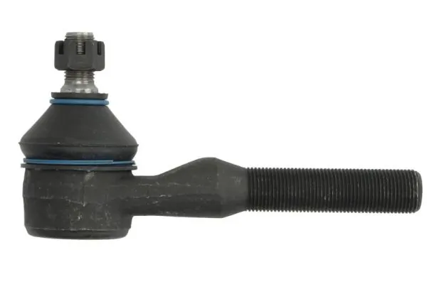 RH016023 Reinhoch