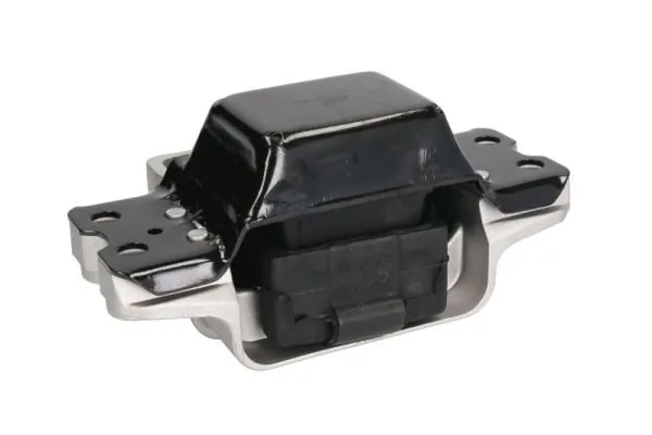RH110081 Reinhoch Coxim (suporte) esquerdo de motor