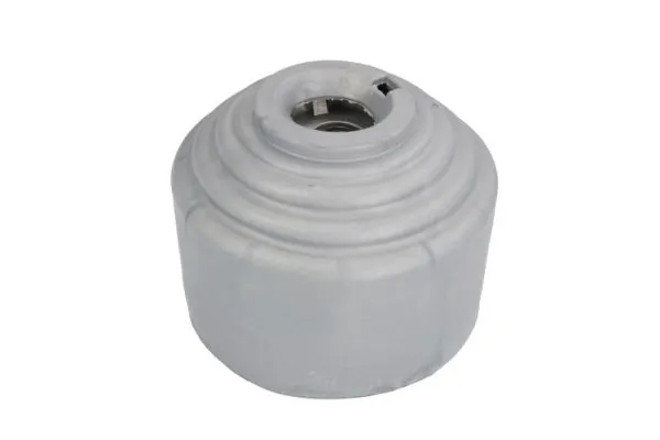 RH113044 Reinhoch
