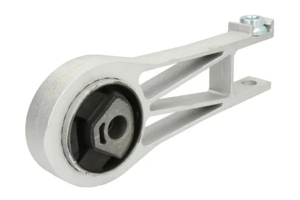 RH111073 Reinhoch