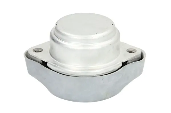RH120025 Reinhoch Coxim de transmissão (suporte da caixa de mudança)