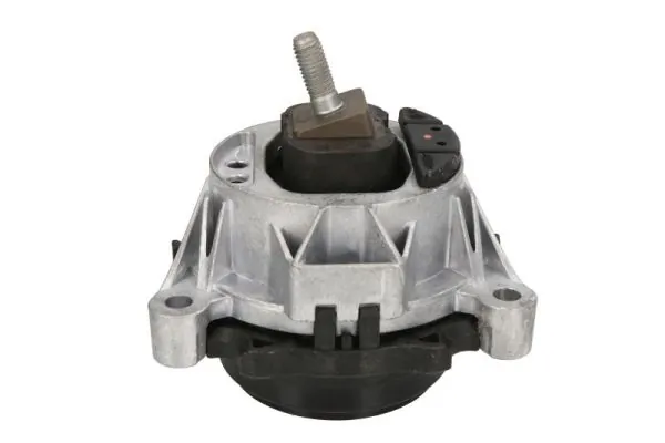RH113072 Reinhoch
