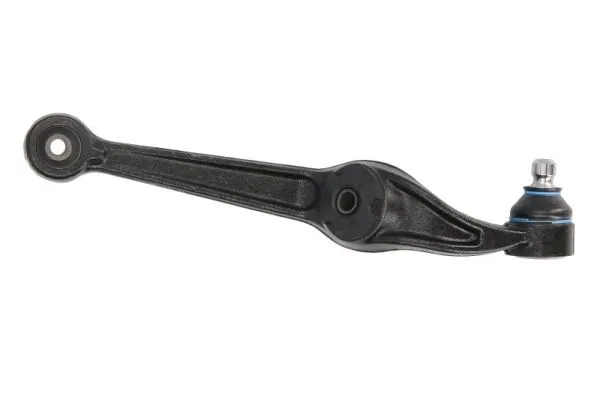 RH042003 Reinhoch