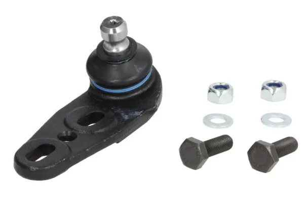 RH030004 Reinhoch