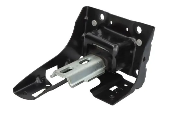 RH122010 Reinhoch