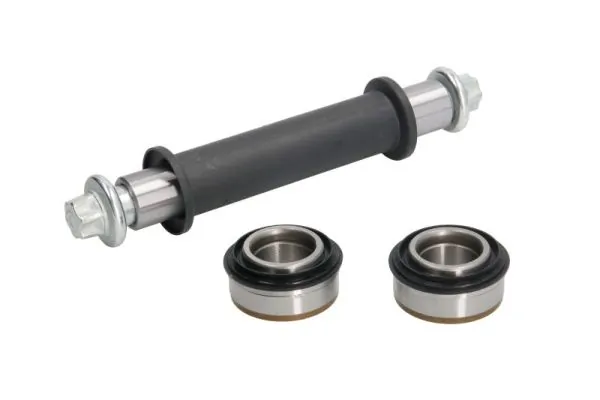 RH153015 Reinhoch