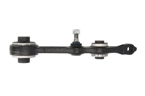 RH043007 Reinhoch