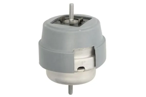 RH110063 Reinhoch