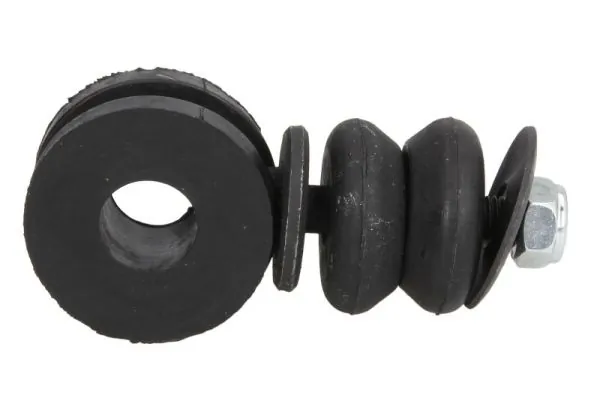 RH060008 Reinhoch