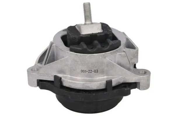 RH113113 Reinhoch