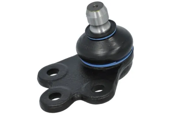 RH036011 Reinhoch