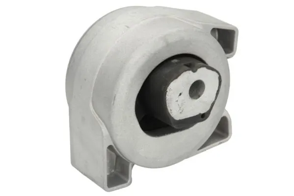 RH113029 Reinhoch