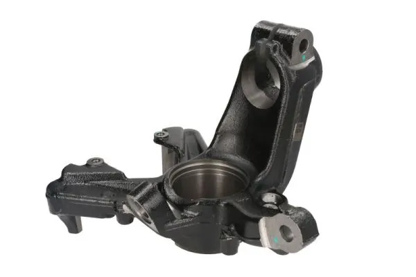 RH080012 Reinhoch
