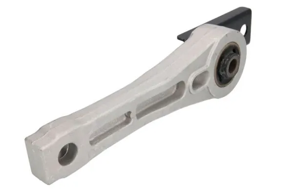 RH110094 Reinhoch
