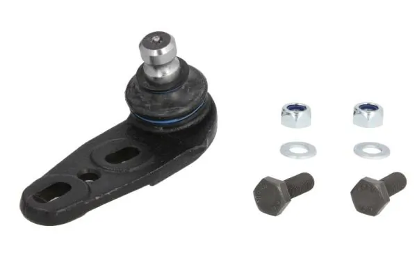 RH030012 Reinhoch