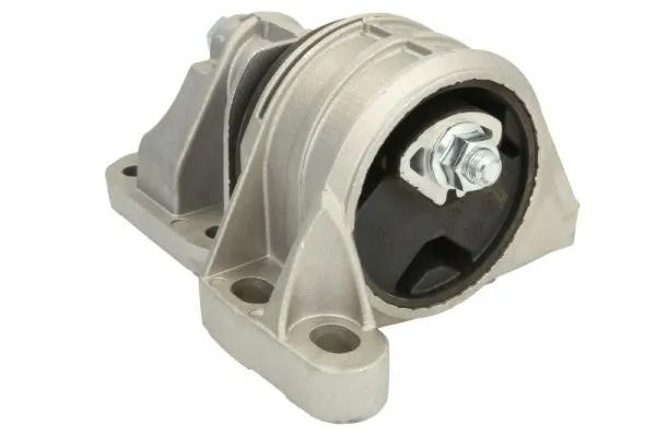 RH111080 Reinhoch