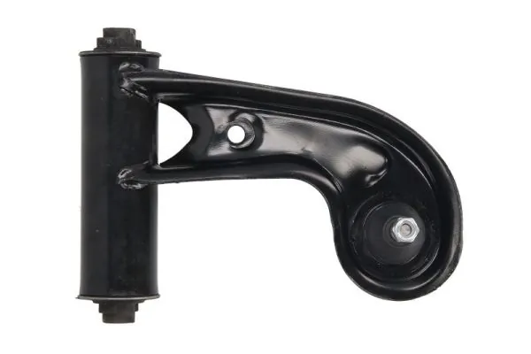 RH043029 Reinhoch