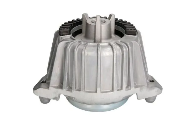 RH113024 Reinhoch