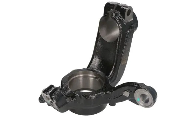 RH080034 Reinhoch