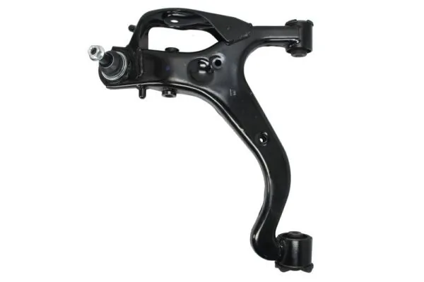 RH045048 Reinhoch