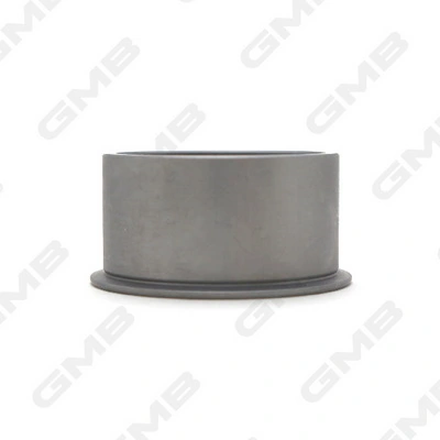 GT80380 GMB Rolo parasita da correia do mecanismo de distribuição de gás