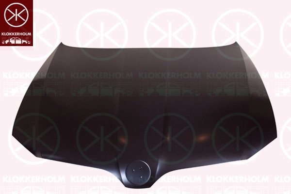 Compre Capota Skoda SuperB 2