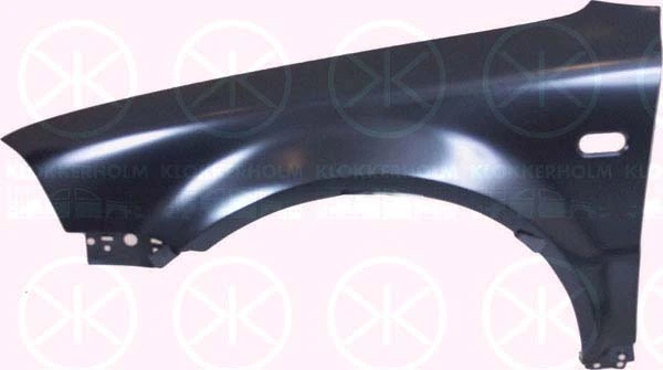  Pára-lama dianteiro esquerdo Volkswagen Passat B5 carrinha (3B6) (2000 - 2005) B5