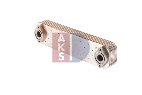 406003N Dasis