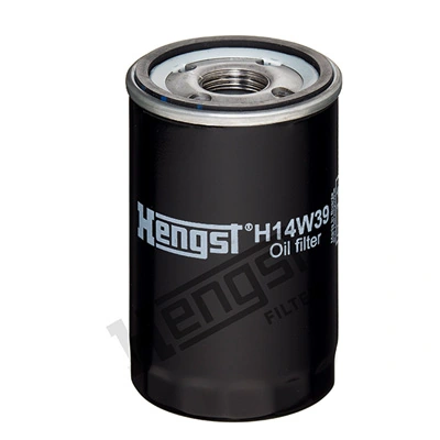 H14W39 Hengst