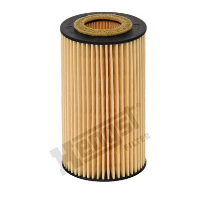 E11HD155 Hengst