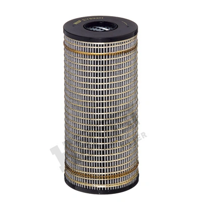 EY892HD393 Hengst