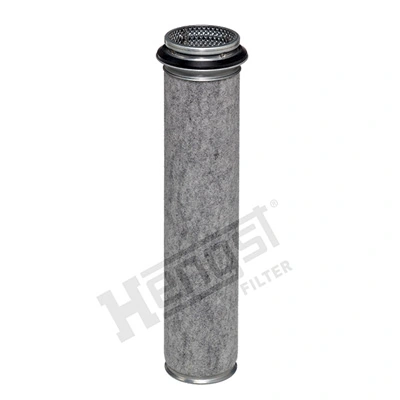 E113LS Hengst