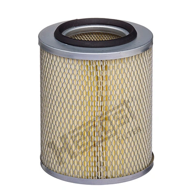 E277L01 Hengst