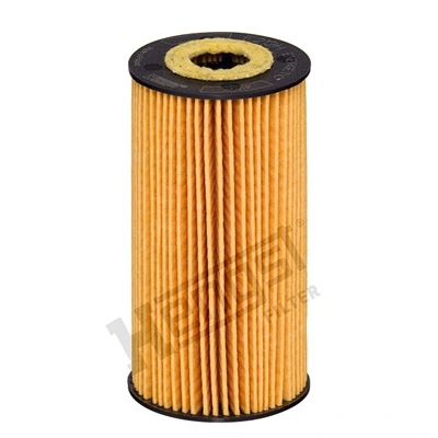 E212HD231 Hengst