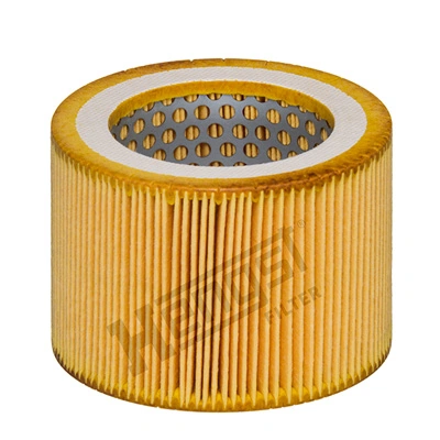 E1536L Hengst