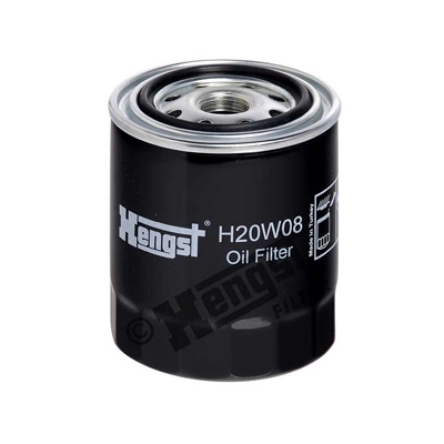 H20W08 Hengst