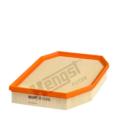 E1039L Hengst