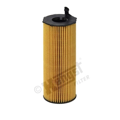 E73HD134 Hengst