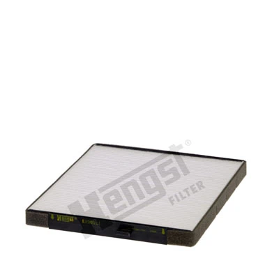 E2981LI Hengst