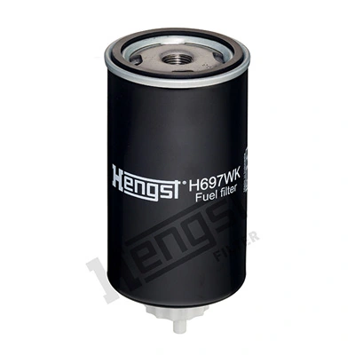 H697WK Hengst