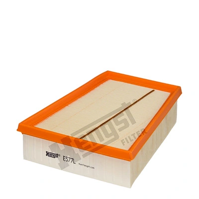 E577L Hengst