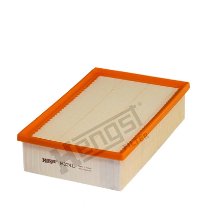 E324L Hengst