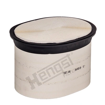 E1669L Hengst