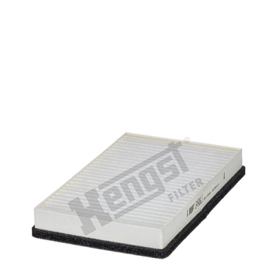E4906LI Hengst