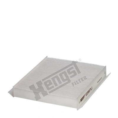 E2987LI Hengst