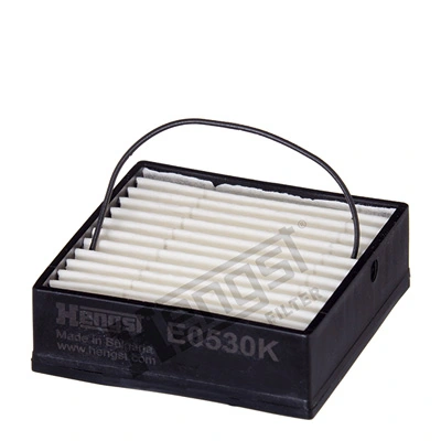 E0530K Hengst